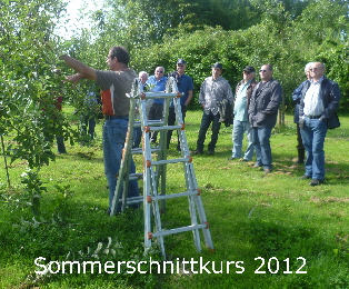 Sommerschnittkurs